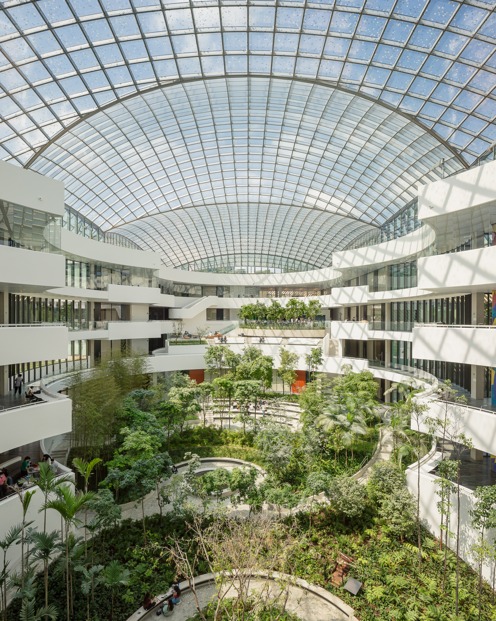 Albert Einstein Education and Research Center in Rua Comendador Elias Jafet, by Safdie Architects