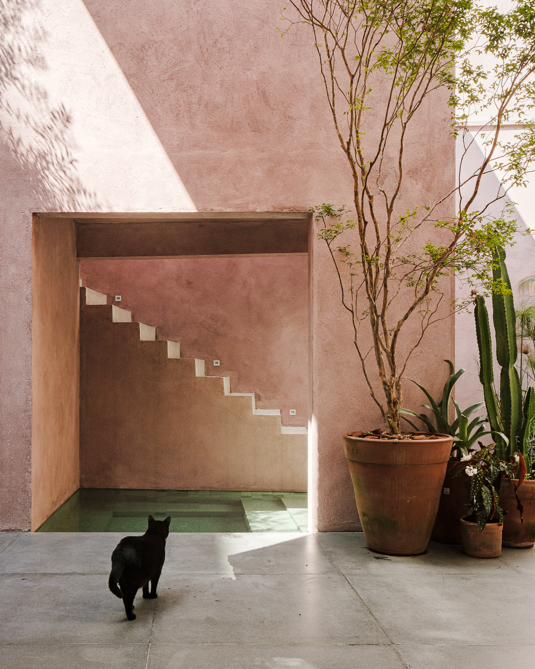 Renovation of a rowhouse in Vila Mariana, São Paulo, by entre.escalas