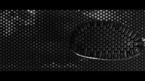 Casa Cubo em São Paulo, Brasil