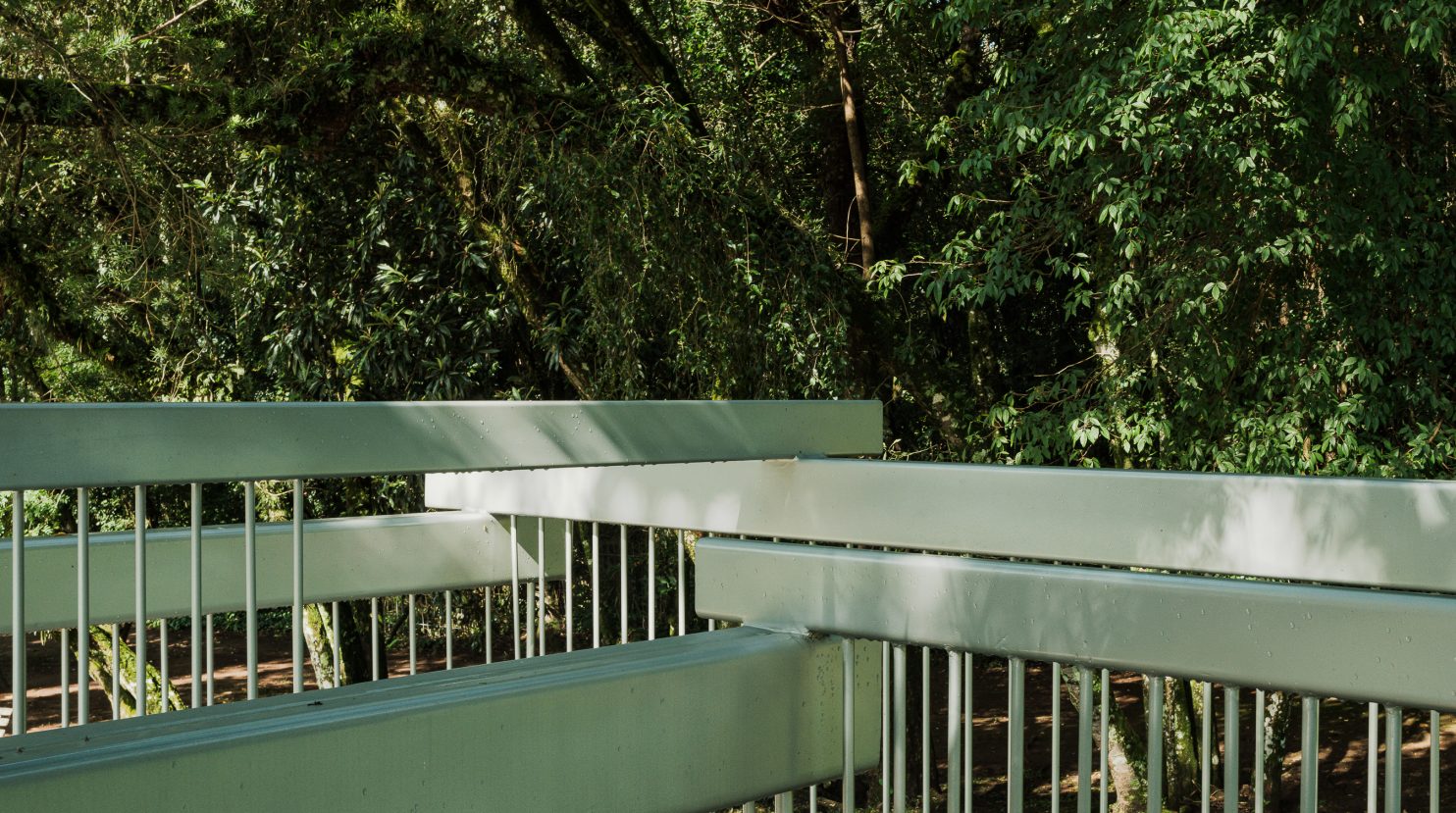 Semeador & Ao Redor de uma Árvore